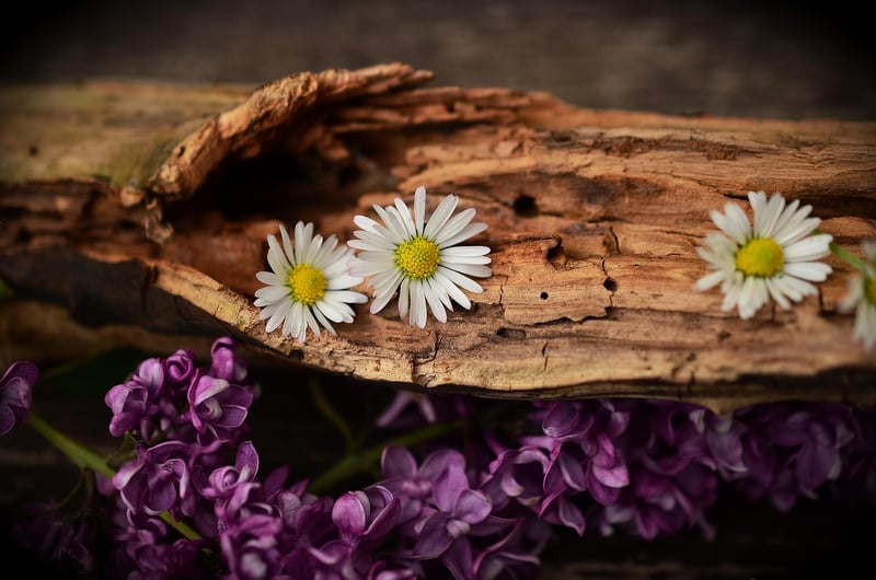 Engraved Wooden Keepsakes